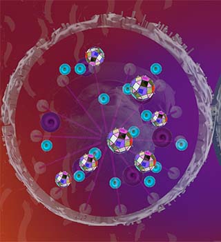 Sending Drops with 5D Brain Cells, flowing up